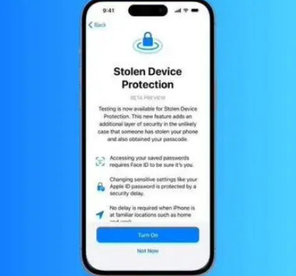 秀山苹果授权维修店分享被盗设备保护功能开启方法 