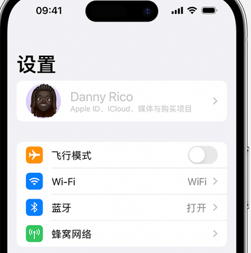 秀山appleID维修服务iPhone设置中Apple ID显示为灰色无法使用