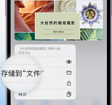 秀山apple维修中心分享iPhone文件应用中存储和找到下载文件