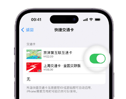 秀山apple维修点分享iPhone上更换Apple Pay快捷交通卡手绘卡面 