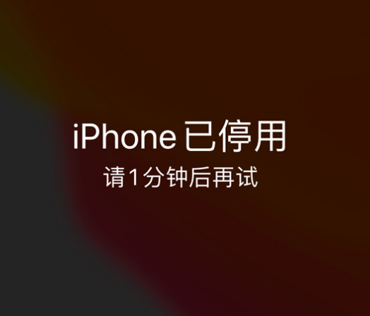 秀山苹果手机维修分享:iPhone 显示“不可用”或“已停用”怎么办？还能保留数据吗？ 