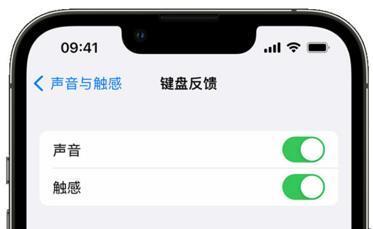 秀山苹果手机维修分享iPhone 14触感键盘使用方法 