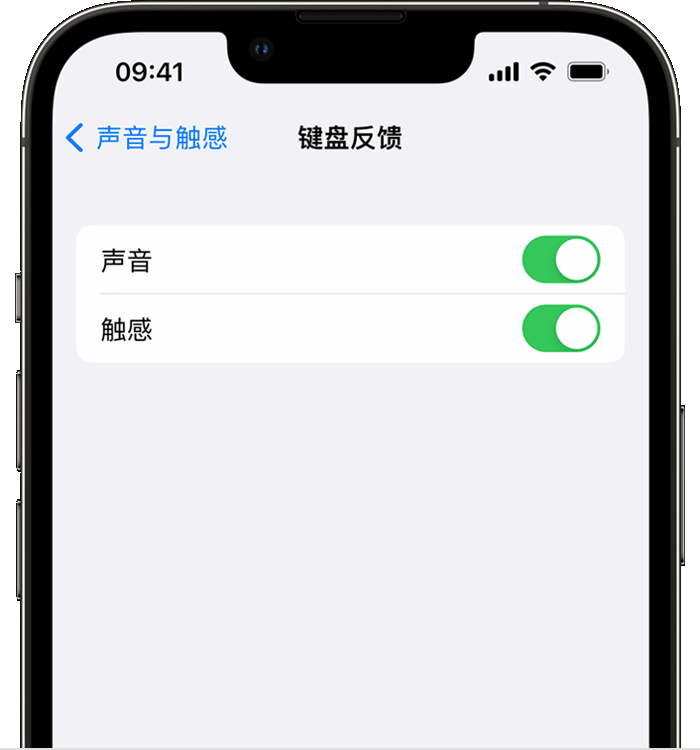 秀山苹果14维修店分享如何在 iPhone 14 机型中使用触感键盘 