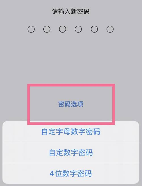 秀山苹果14维修分享iPhone 14plus设置密码的方法 