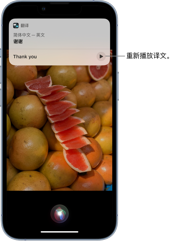 秀山苹果14维修分享 iPhone 14 机型中使用 Siri：了解 Siri 能帮你做什么 