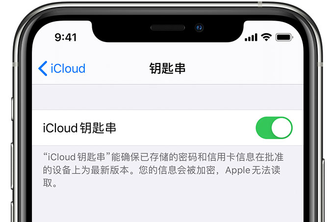 秀山苹果手机维修分享在 iPhone 上开启 iCloud 钥匙串之后会储存哪些信息 