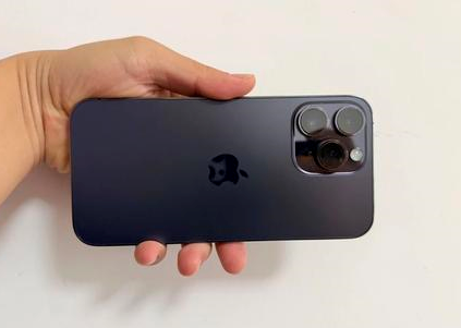秀山苹果维修点分享iPhone 14 Pro Max黑屏少见故障盘点 